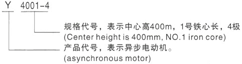 西安泰富西玛Y系列(H355-1000)高压晋宁三相异步电机型号说明